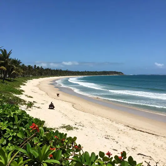 Cotovelo Beach Tours: Explore a Beleza Natural Potiguar