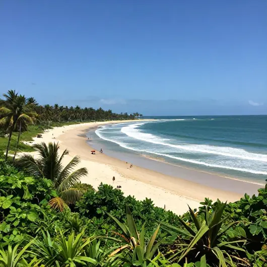 Descubra a Praia do Engenho Descubra a Praia do Engenho