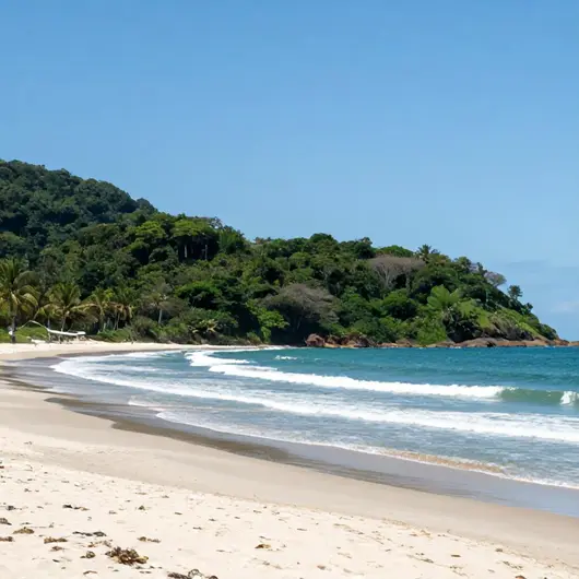 Descubra a Praia do Rosa