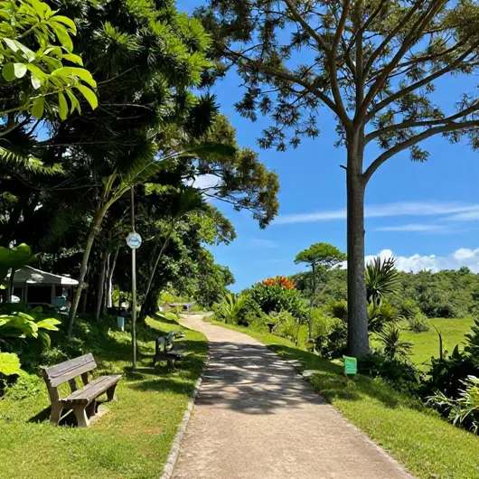 Descubra o Encanto do Caminhos do Mar Descubra o Encanto do Caminhos do Mar