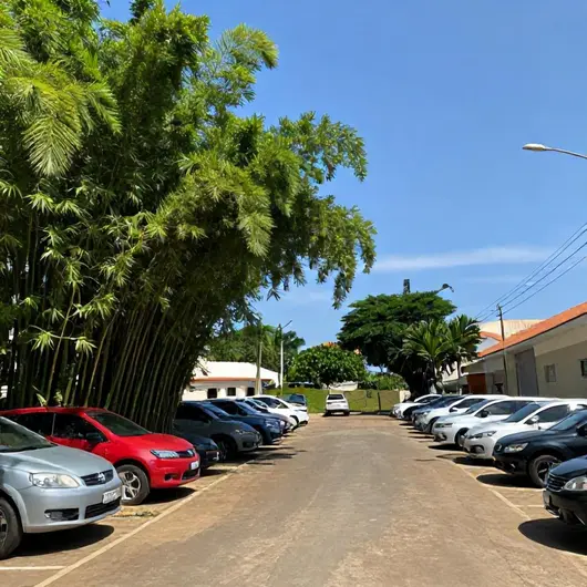 Descubra o Estacionamento Bambuzal