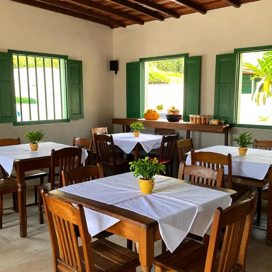 Descubra o Quintal do Açaí
