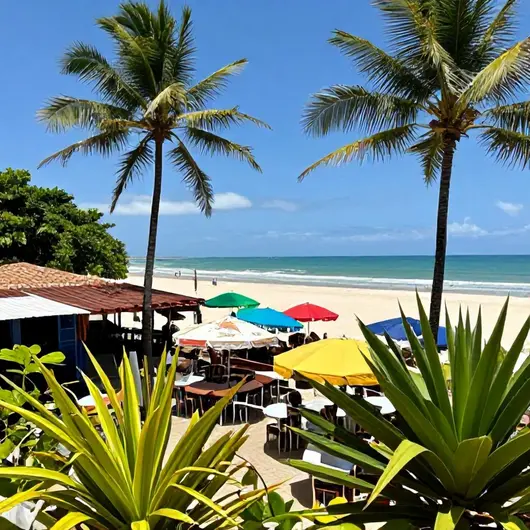 Descubra o Sergipe Turismo Descubra o Sergipe Turismo