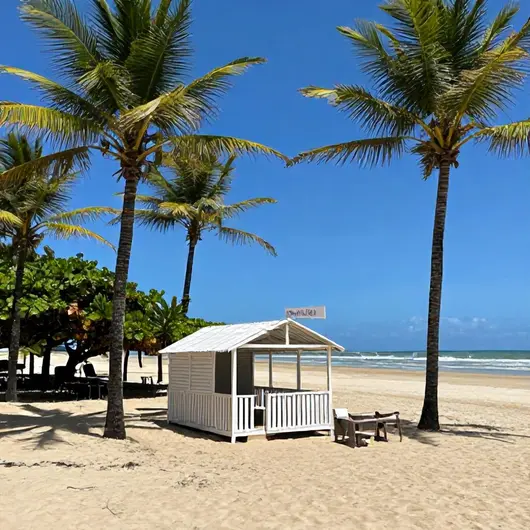 Descubra a Barraca Estilo Praia