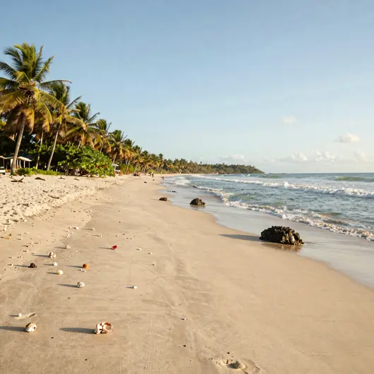 Descubra a Praia da Reserva
