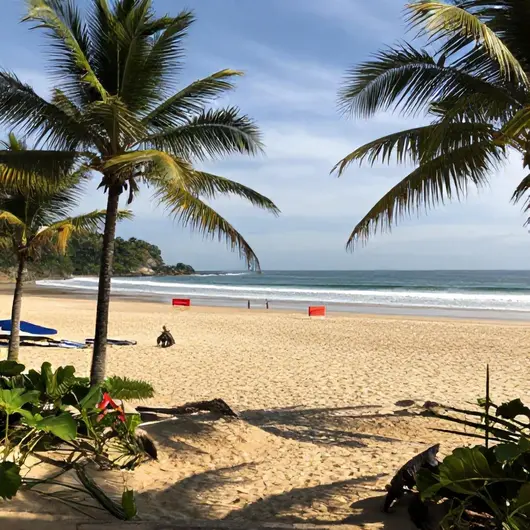 Descubra a Praia de Muriú