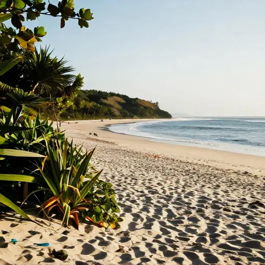 Descubra a PRAIA DE TABATINGA: Um Paraíso Potiguar