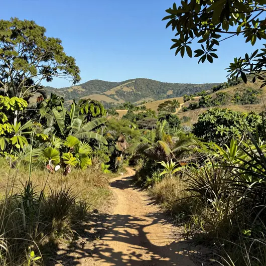 Descubra as Maravilhas da Trilhas Turismo