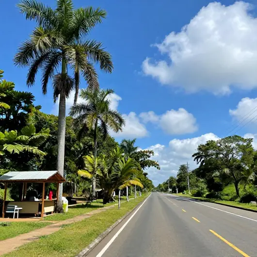 Descubra o que fazer na BR 101 Parnamirim Descubra o que fazer na BR 101 Parnamirim