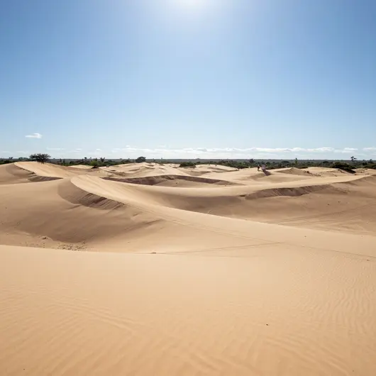 Dunas de Cotovelo