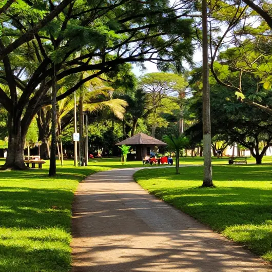 Explorando o Palmetto Bay Park