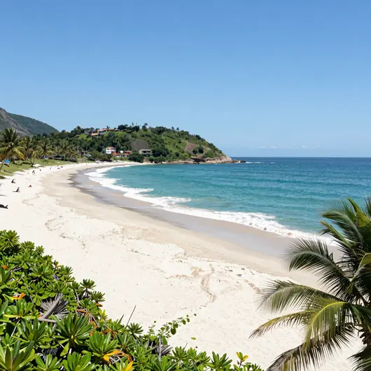 Praia do Forte: Um Paraíso a Descobrir